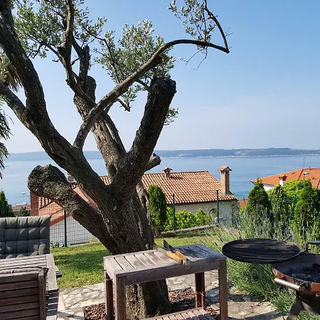Apartman Mediterranean *
